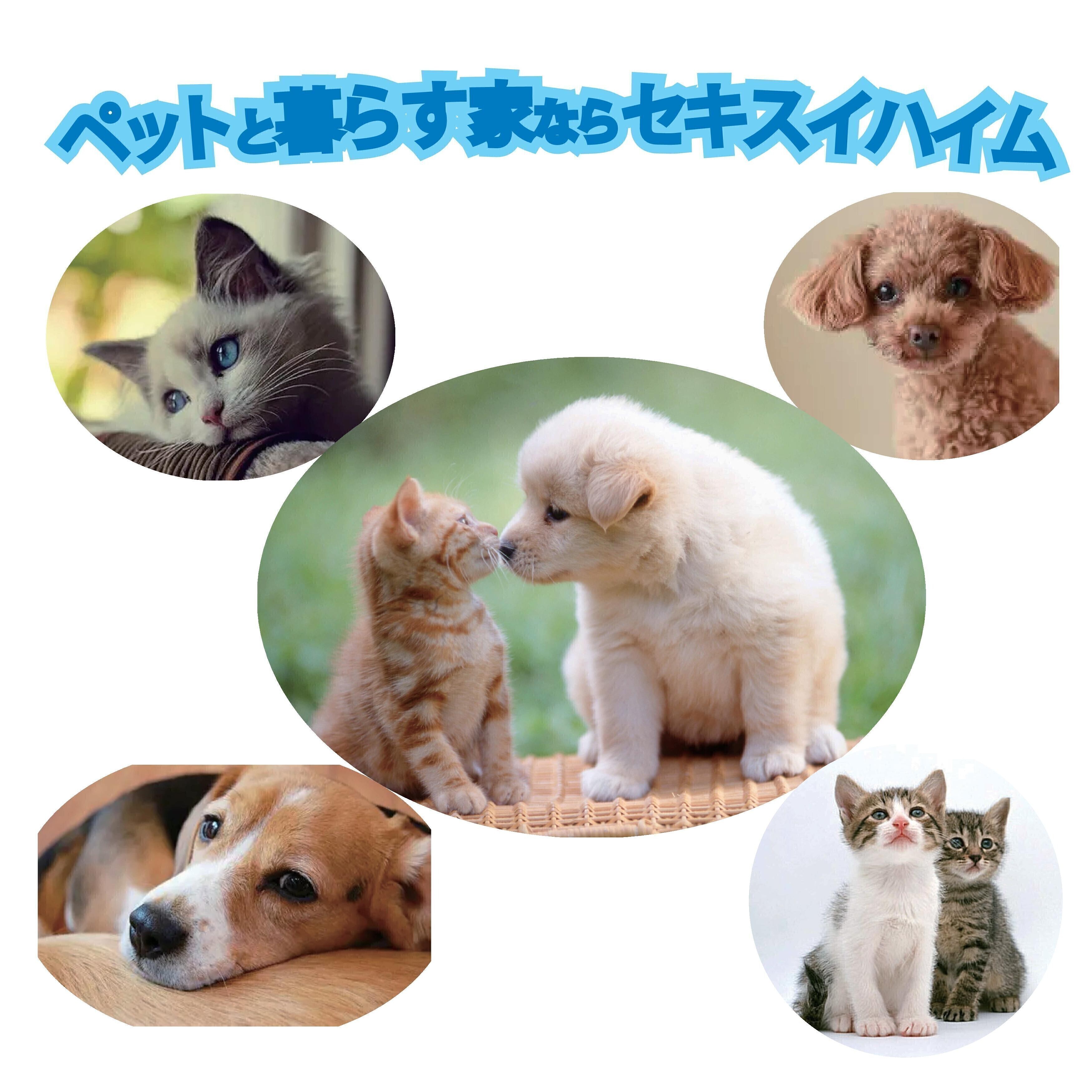 お知らせのアイキャッチ画像