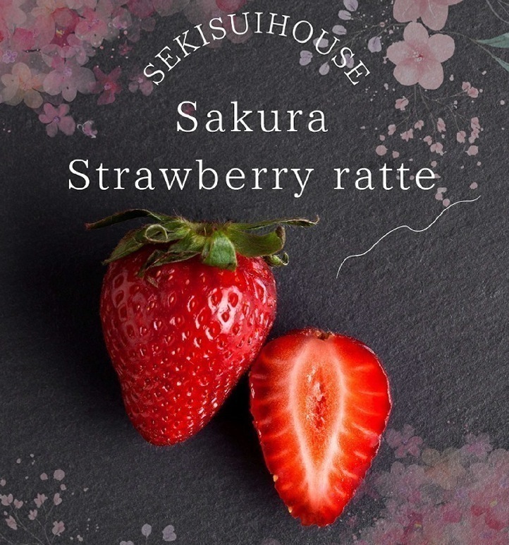 お知らせのアイキャッチ画像