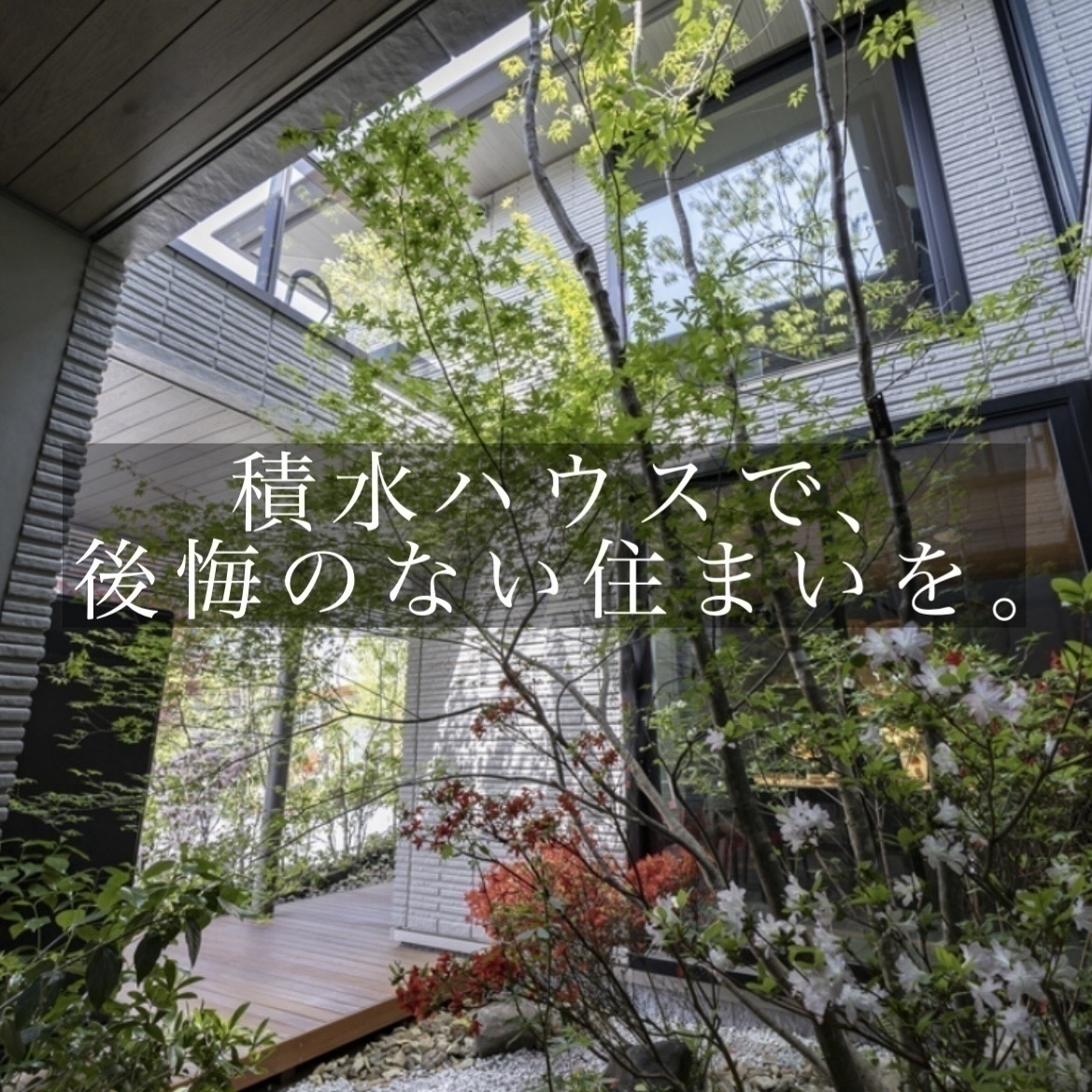 お知らせのアイキャッチ画像