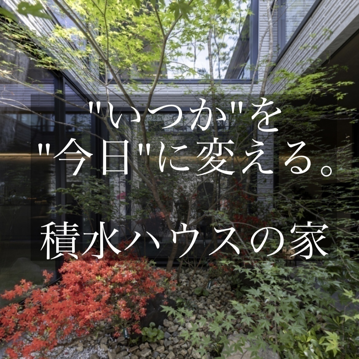 お知らせのアイキャッチ画像