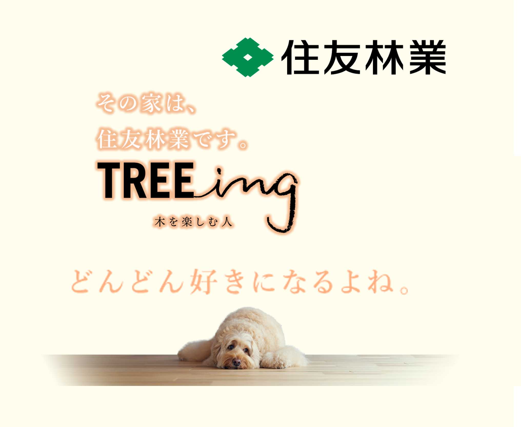 お知らせのアイキャッチ画像