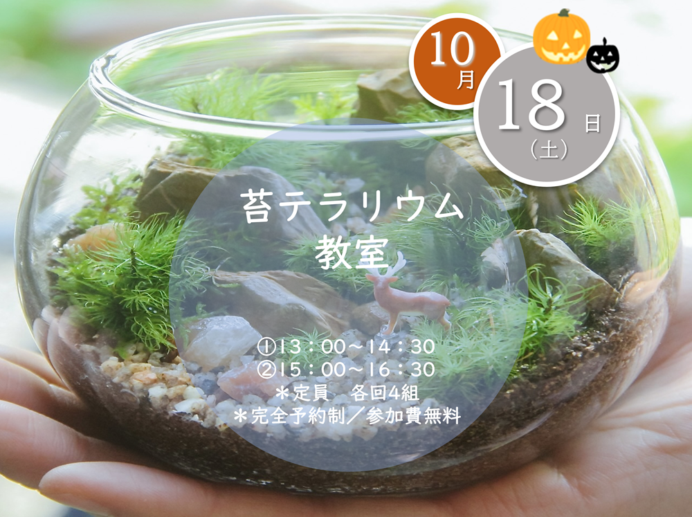 お知らせのアイキャッチ画像